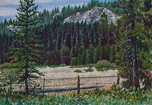 Beasore Meadows at Jones' Store Image