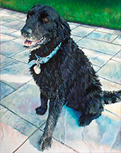 Black Dog Image