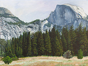 Cook's Meadow Painting